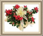 English Rose Florist, 512 S Brookhurst St, Anaheim, CA 92804, (714)_535-5317